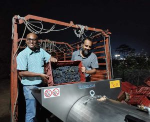 Ajoy and Prashanth working with Shiraz grapes that led to winning the Silver