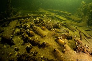 Champagne bottles in the shipwreck, Pic-courtesy Tomasz Stachura via Decanter