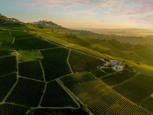 Aerie View of Langhe Hills 